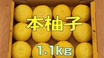9.9yooz柚子(柚子9.9杆在哪买)