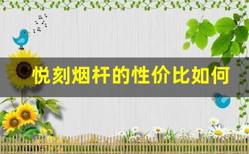 悦刻烟杆的性价比如何
