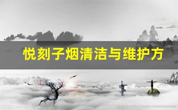 悦刻子烟清洁与维护方法指南
