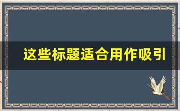 这些标题适合用作吸引关注、增加点击率的内容。