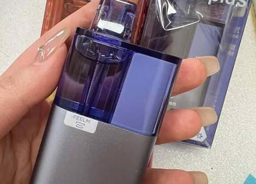冰熊Zgar海外版震撼来袭性能升级全解析
